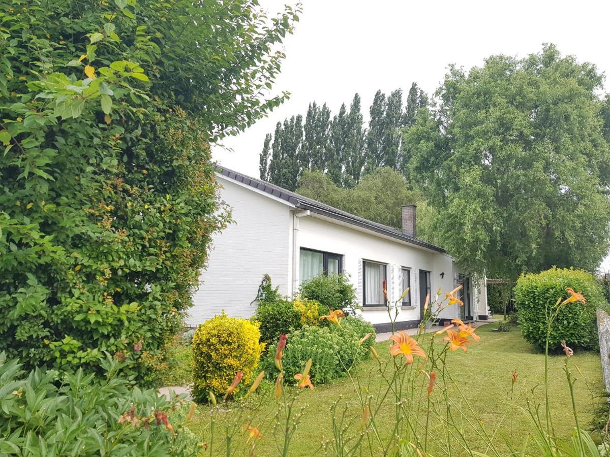 Mary'S Poppies - Bed & Breakfast Blandain Экстерьер фото